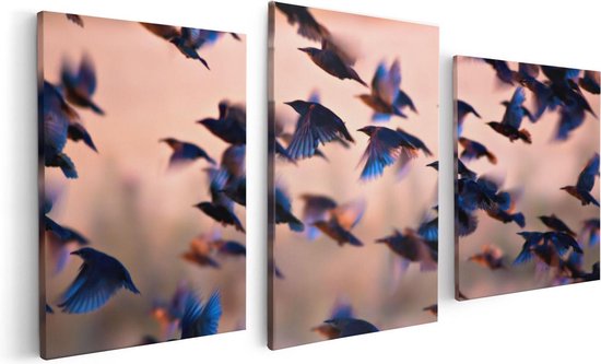 Artaza Canvas Schilderij Drieluik Groep Vliegende Blauwe Spreeuw Vogels - 120x60 - Foto Op Canvas - Canvas Print