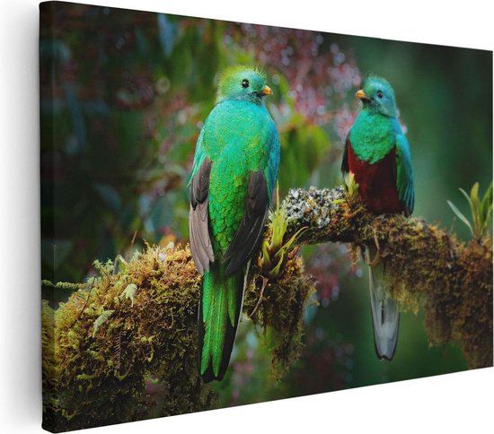 Artaza - Canvas Schilderij - Twee Groene Quetzal Vogels Op Een Tak - Foto Op Canvas - Canvas Print