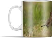 Mok - Een Zanglijster die door het gras loopt - 350 ml - Beker