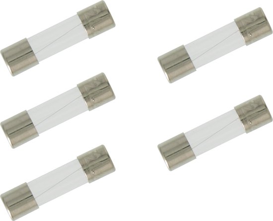 GAMMA Glaszekering voor dimmers - 5 x 20 mm - 2.0 A - Snel - 5 stuks |  bol.com