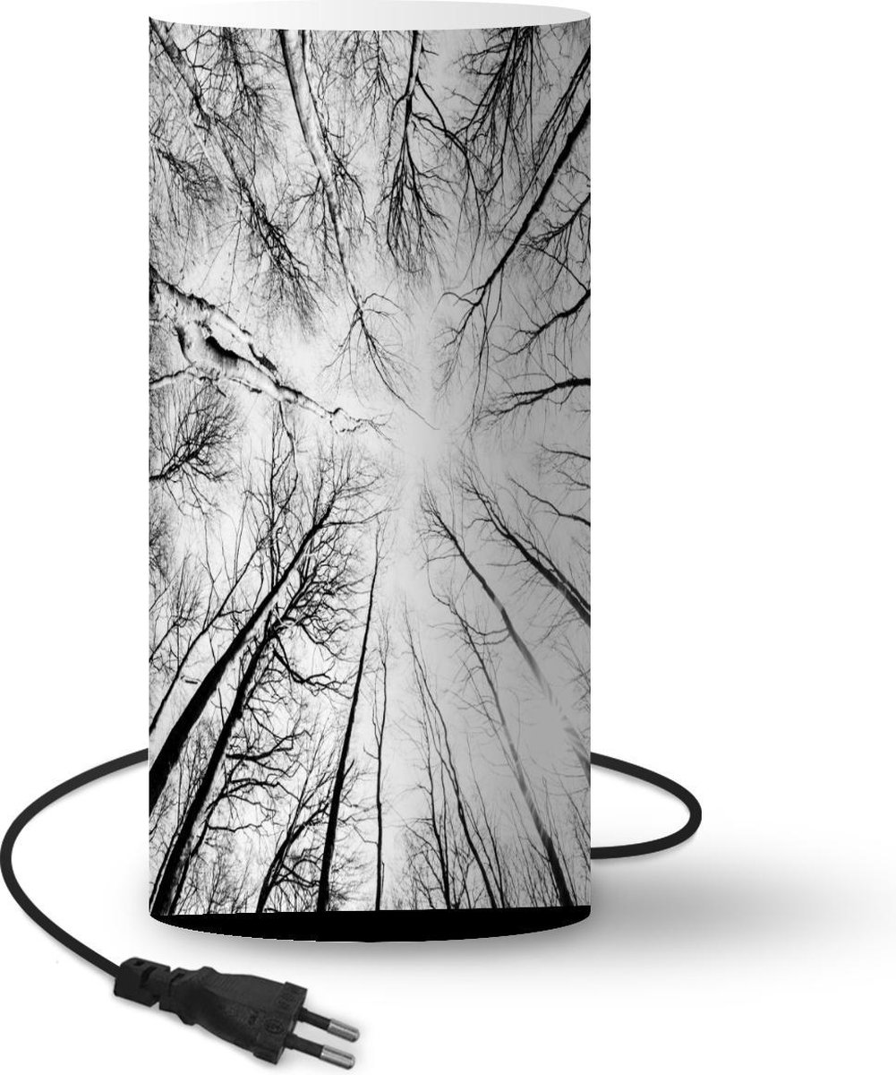 Lamp - Nachtlampje - Tafellamp slaapkamer - Beukenfoto vanaf de grond gemaakt - 33 cm hoog - Ø15.9 cm - Inclusief LED lamp