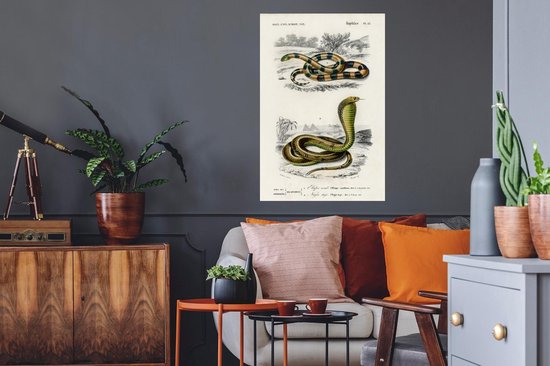 Stickers muraux - Film autocollant - Serpent - Vintage - Reptiles - 60x90 cm - Film adhésif - Stickers muraux Chambre d'enfant - Papier peint autocollant