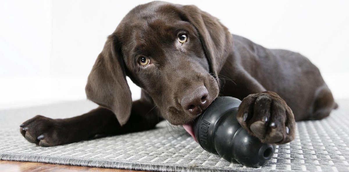 KONG Extreme - Honden Speelgoed thumbnail 4