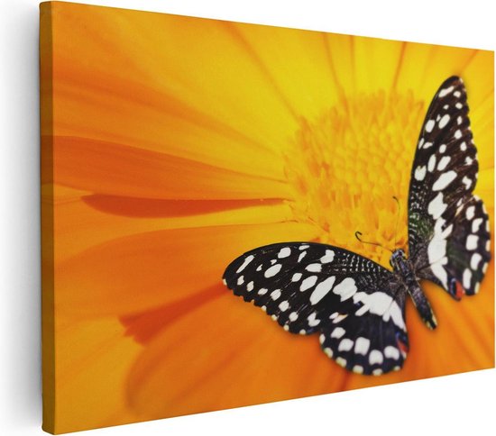 Artaza Canvas Schilderij Vlinder Op Een Oranje Bloem - 120x80 - Groot - Foto Op Canvas - Wanddecoratie Woonkamer