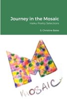 Journey in the Mosaic