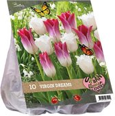 Plantenwinkel Urban Flowers Virgin dreams bloembollen per 10 stuks