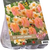 Plantenwinkel Urban Flowers Sweet lingery bloembollen per 10 stuks