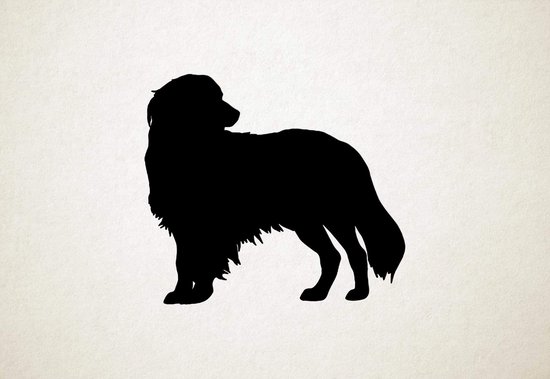 Kooikerhondje - Silhouette hond - L - 75x85cm - Zwart - wanddecoratie