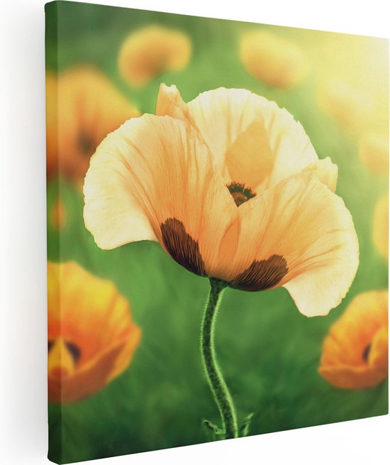 Artaza Canvas Schilderij Oranje Klaproos Bloemen  - 50x50 - Foto Op Canvas - Canvas Print