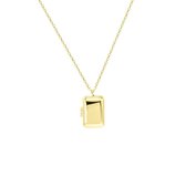 Zilveren goldplated ketting&hanger medaillon