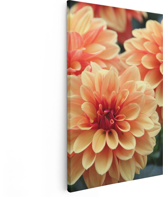 Artaza Canvas Schilderij Oranje Dahlia Bloemen - 40x60 - Poster Foto op Canvas - Canvas Print