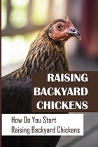 Raising Backyard Chickens: How Do You Start Raising Backyard Chickens