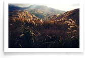 Walljar - Golden Grass - Muurdecoratie - Poster