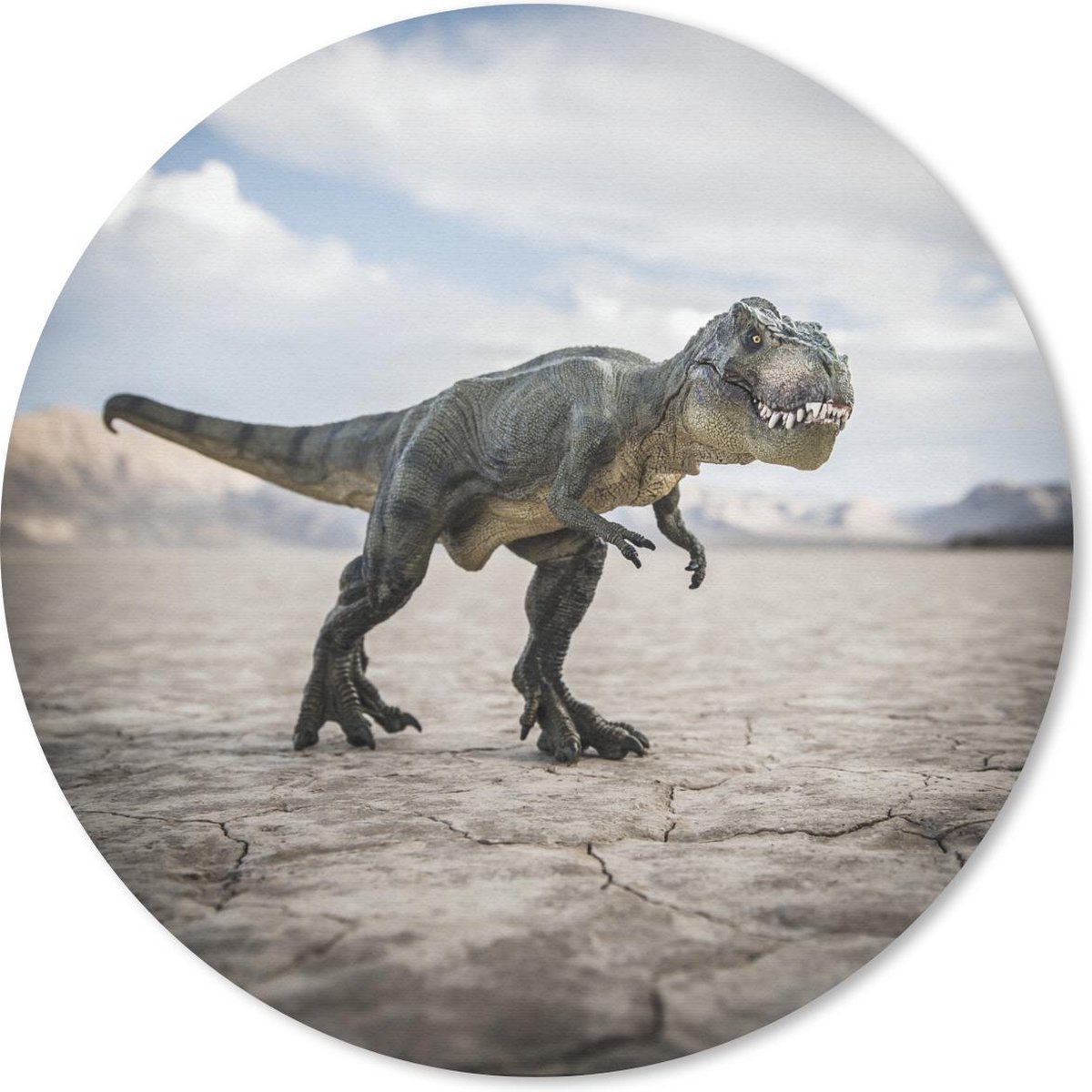 Muismat rond 50x50 cm - Mousepad Dinosaurus - Stenen - Zand - Ronde muismatten
