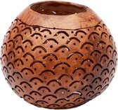 The Coconut Scale - Brown