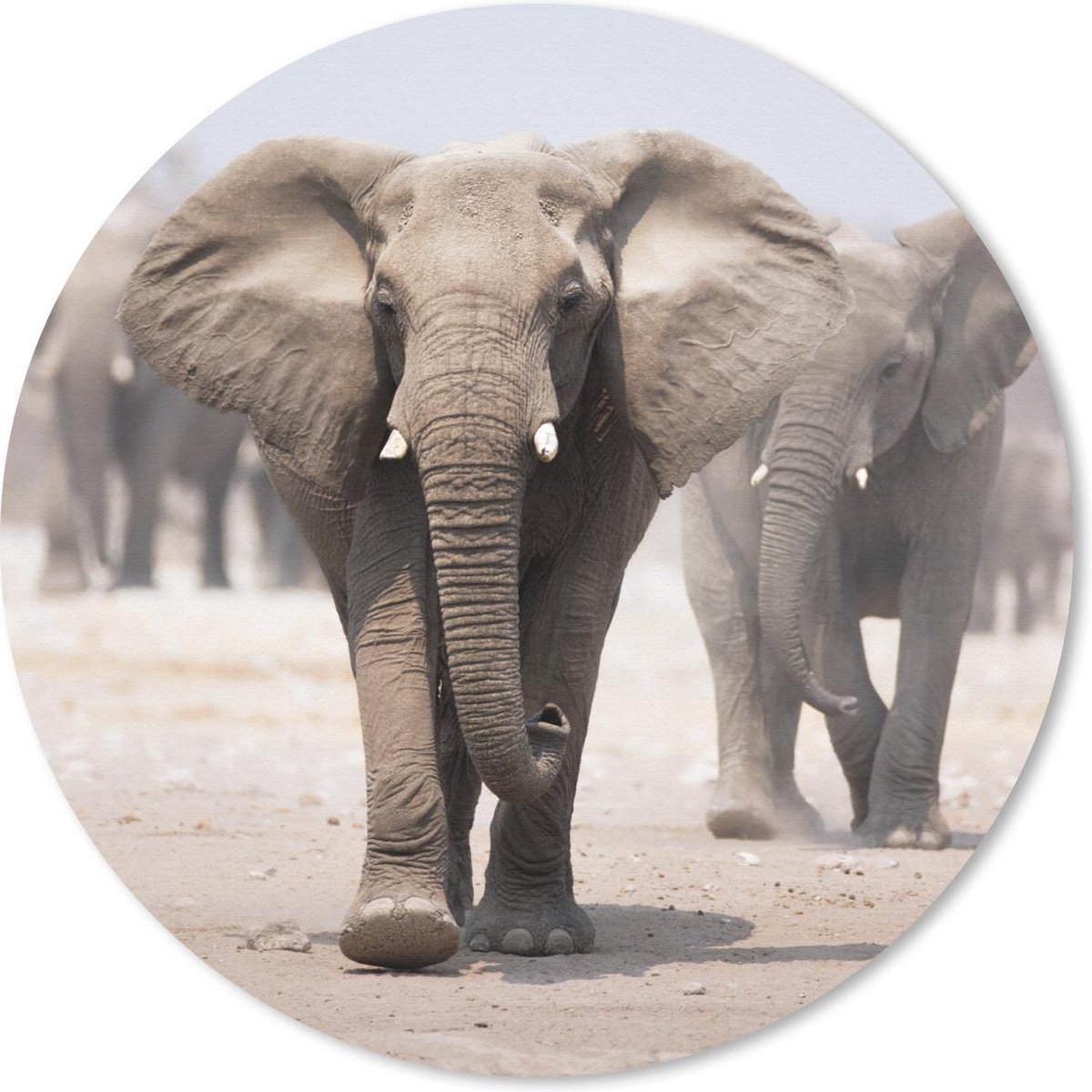 Muismat rond 40x40 cm - Mousepad Olifant - Poten - Stof - Ronde muismatten