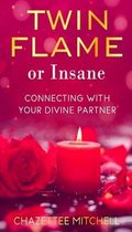 Twin Flame Or Insane