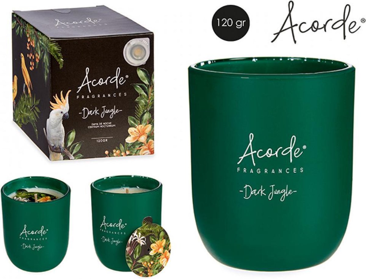 Acorde - Geurkaarsenset - 2 stuks - 2x120g - NACHTBLOESEM+GROENE THEE-in mat glas - -