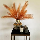 Natural Collections - Droogbloemen - Artificial Pluim - Rusty - 57 cm hoog