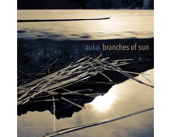 Branches of Sun