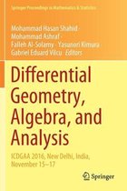 Differential Geometry Algebra and Analysis