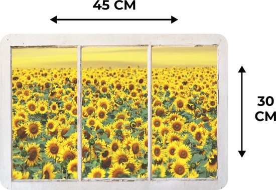 KitchenYeah© Placemats 6 stuks 45x30 cm Keuken Decoratie Placemats Afwasbaar Anti Slip Tafelmat Vinyl Onderlegger Eettafel - Rozen - Zwart - Bloemen - Goud
