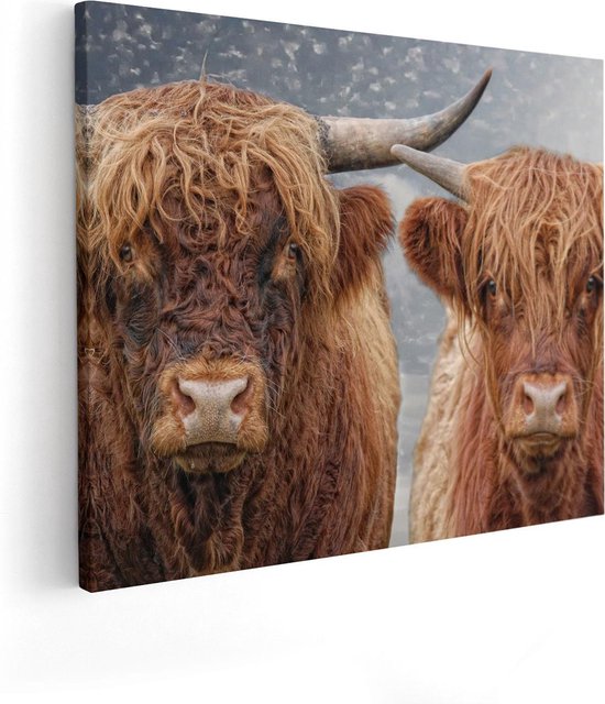 Artaza Canvas Schilderij Schotse Hooglander Koppel - Man en Vrouw - 100x80 - Groot - Foto Op Canvas - Canvas Print