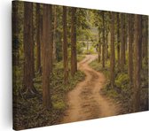 Artaza Canvas Schilderij Pad In Het Bos Met Bomen - 30x20 - Klein - Foto Op Canvas - Canvas Print