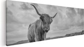 Artaza Canvas Schilderij Schotse Hooglander In De Wei - Zwart Wit - 60x20 - Foto Op Canvas - Canvas Print