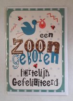 Een zoon geboren! Hartelijk gefeliciteerd! Een luxe wenskaart met lieveheersbeestjes in een kleurrijke sfeer. Een dubbele wenskaart inclusief envelop en in folie verpakt.