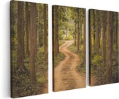 Artaza Canvas Schilderij Drieluik Pad In Het Bos Met Bomen - 120x80 - Foto Op Canvas - Canvas Print