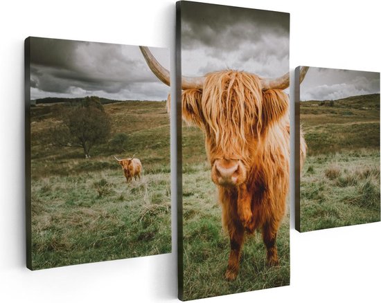 Artaza - Triptyque de peinture sur toile - Highlanders écossais dans le pâturage - Couleur - 90x60 - Photo sur toile - Impression sur toile