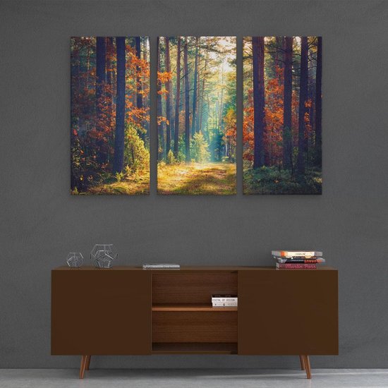 Artaza Canvas Schilderij Drieluik Herfstbos Met Zonneschijn - Kleur - 120x80 - Foto Op Canvas - Canvas Print