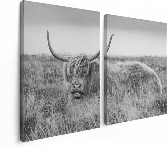 Artaza Peinture sur Toile Diptyque Vache Highlander Écossaise - Zwart Wit - 120x80 - Photo sur Toile - Impression sur Toile
