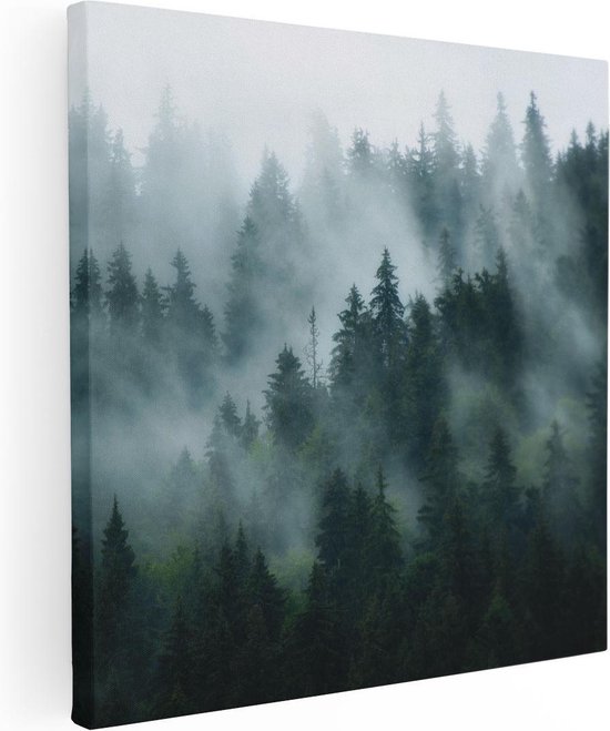 Artaza Canvas Schilderij Bos Met Bomen In De Mist - 80x80 - Groot - Foto Op Canvas - Canvas Print