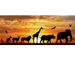 DD9.055 Diamond Dotz® - Ciel Africain 72x22cm