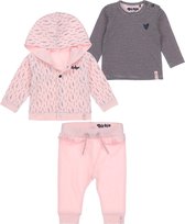 Dirkje Bio Basic SET(3delig) Roze Vest, Roze broek en gestreept shirt - Maat 74