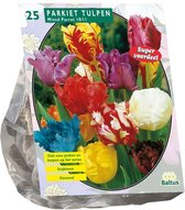Plantenwinkel Tulpen Parkiet Mix tulpen bloembollen per 25 stuks