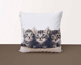 Sierkussen - kittens - Woon accessoire - 50 x 50 cm