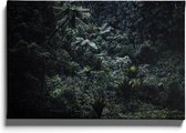 Walljar - Humid Forest - Muurdecoratie - Canvas schilderij