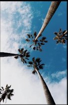 Walljar - Palm Sky - Muurdecoratie - Poster