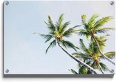 Walljar - Onderaanzicht Palmbomen II - Muurdecoratie - Plexiglas schilderij