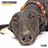 Greyhound - Kalender 2022