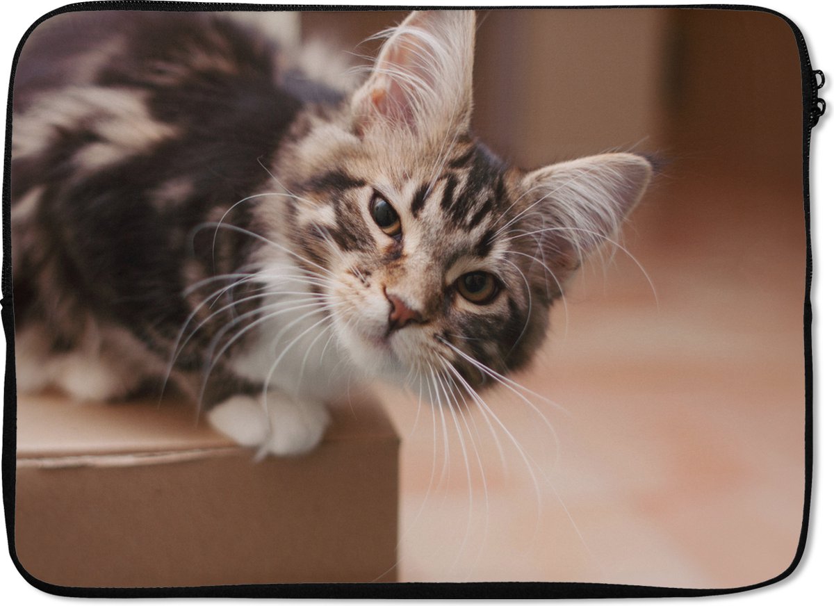Laptophoes 14 inch - Vragende kat - Laptop sleeve - Binnenmaat 33x23 cm - Zwarte achterkant