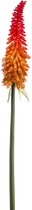 Viv! Home Luxuries Kniphofia - zijden bloem - oranje geel - 85cm - topkwaliteit