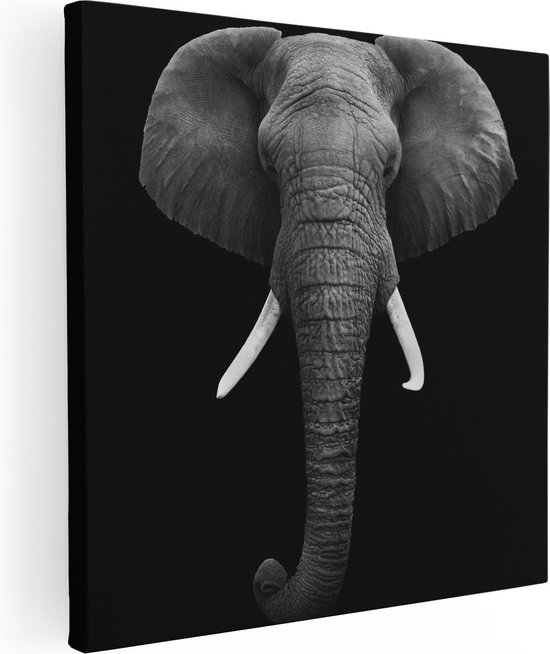 Artaza Canvas Schilderij Olifantenkop - Olifant - Zwart Wit - 80x80 - Groot - Foto Op Canvas - Canvas Print