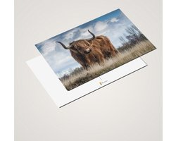 Foto: 