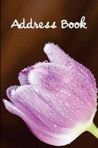 Address Book.