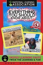 Everything You Should Know About