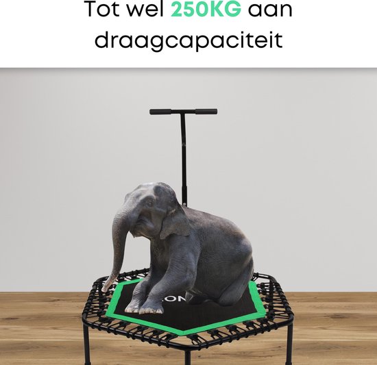 Zwart-groene trampoline met een olifant erop, wat de 250kg draagcapaciteit illustreert.
